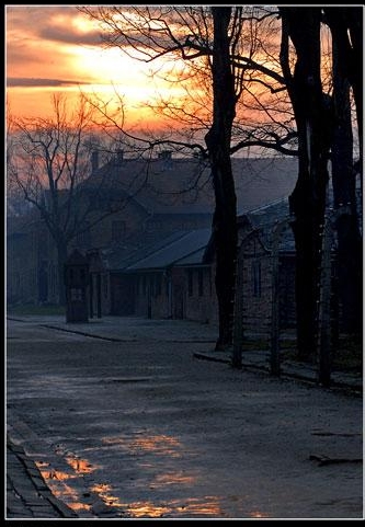 Auschwitz: Tramonto 