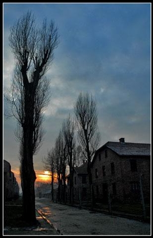 Auschwitz "Come mani protese al cielo... "